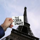 the cobra snake