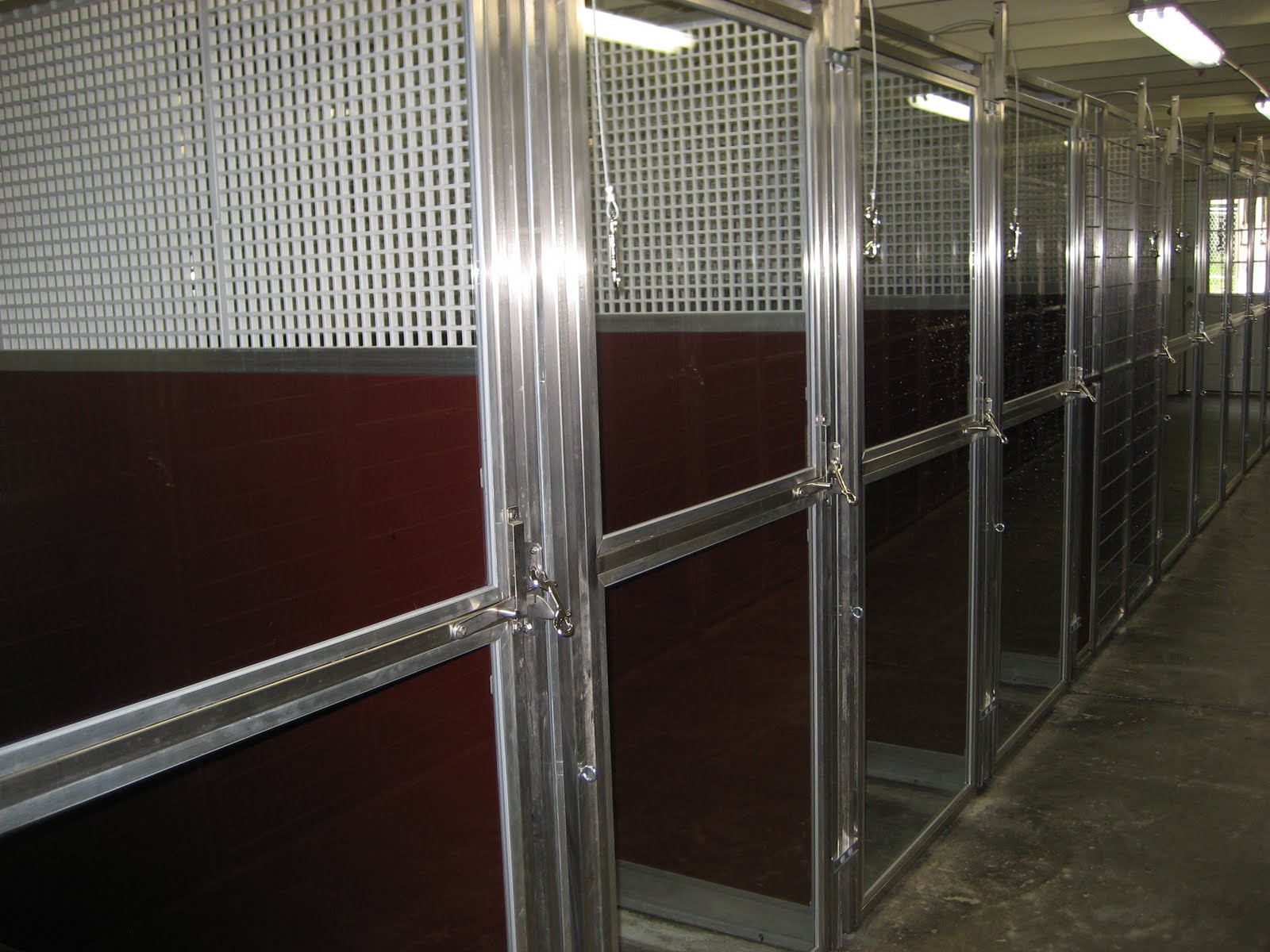 Best Friends Bethany Our New Pet Lodge!