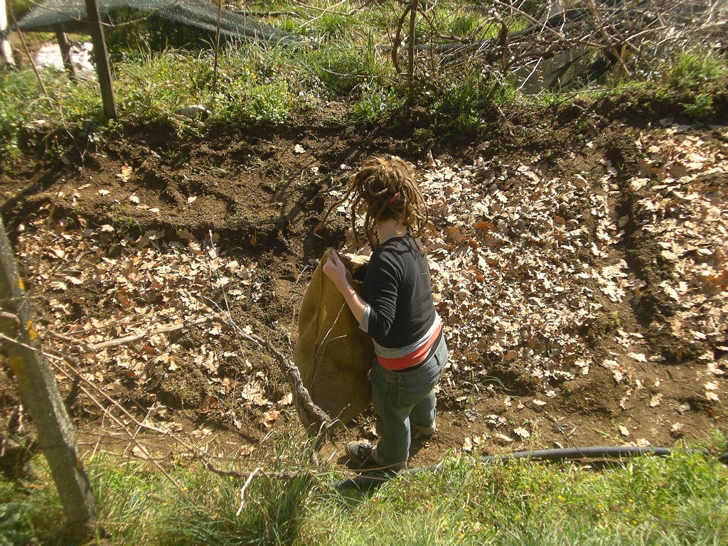 [2007-01-29+030.JPG]