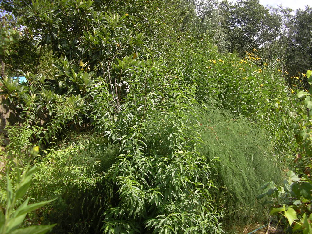 [2007-09-15+011.JPG]