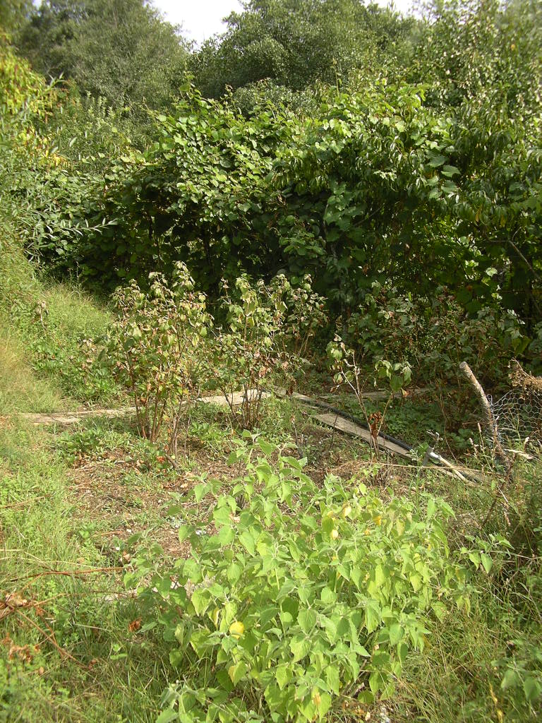 [2007-09-15+019.JPG]