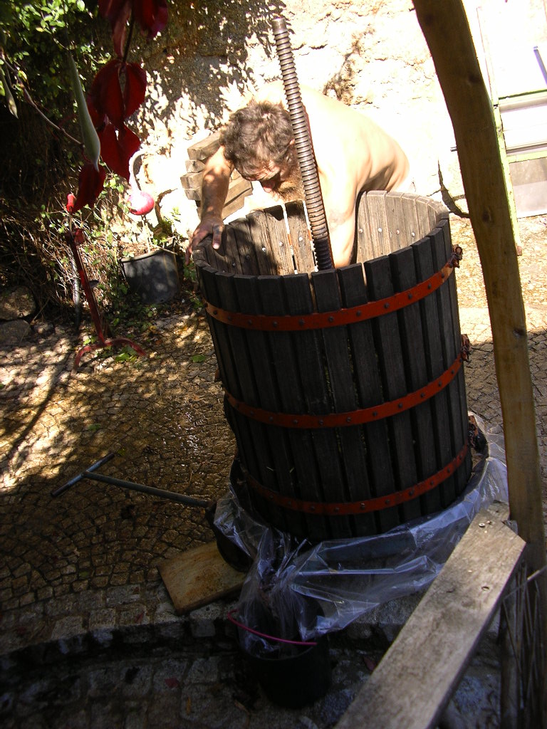 [2007-10-07+033.JPG]