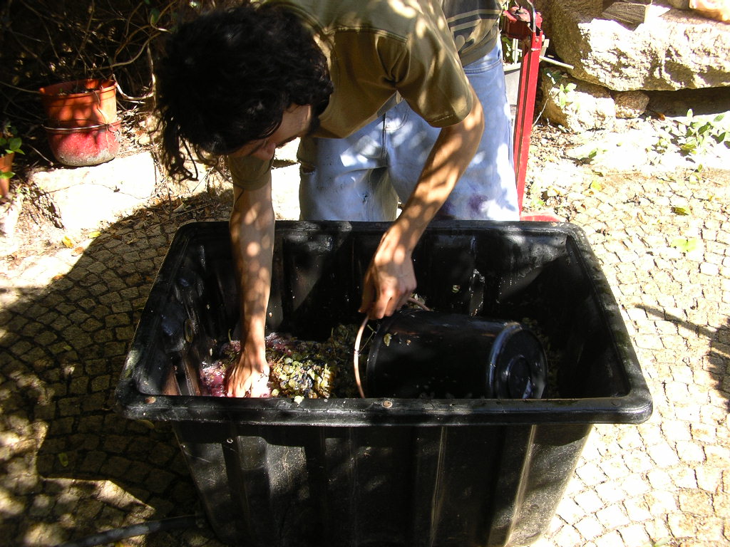 [2007-10-07+012.JPG]