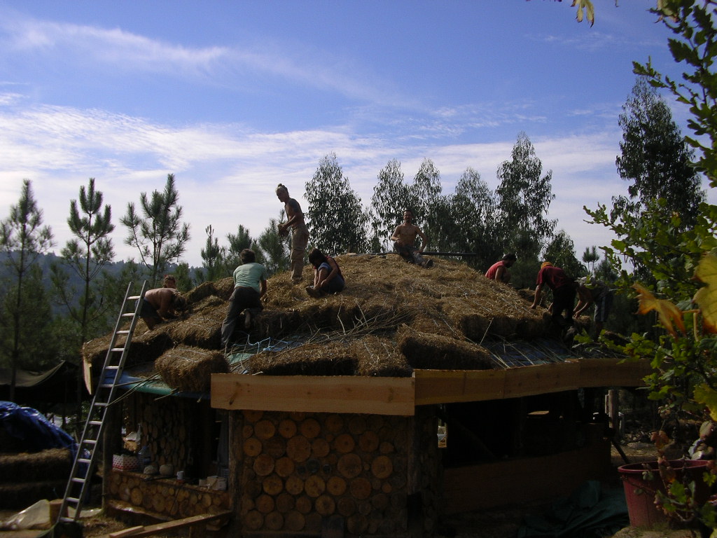 [2007-10-24+040.JPG]