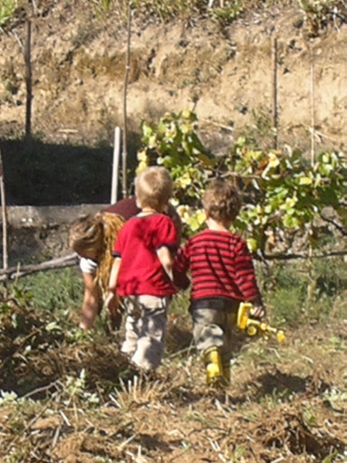 [2008-10-26+045.JPG]