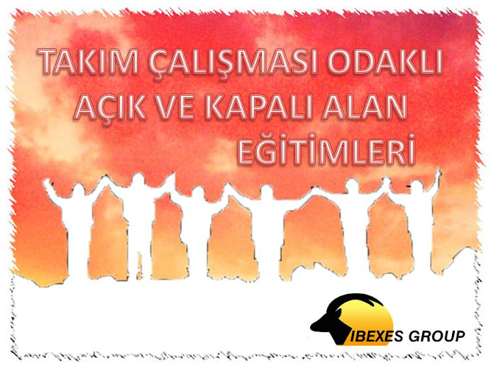IBEXES GROUP