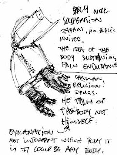 Essay on stelarc 07 image