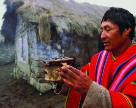 Historia De Los Incas: MEDICINA INCA