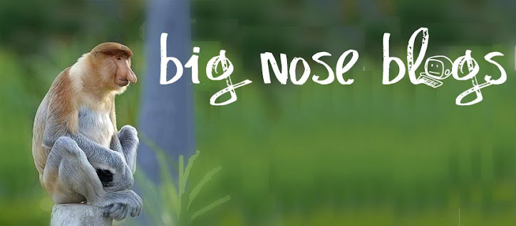 big nose blogs