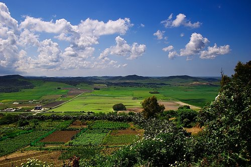 [546462737_63a879ddc9.jpg]