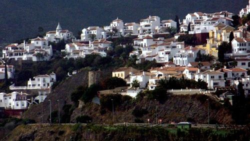 [FRIGILIANA.jpg]