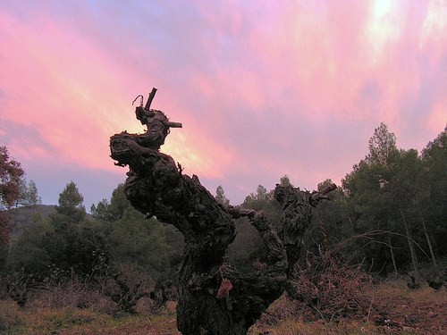 [httpwww.flickr.comphotos11299883@N08.jpg]