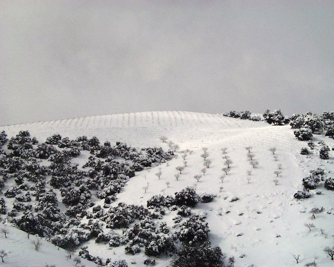 [barranco_oscuro_01_32.jpg]