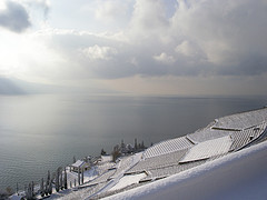 [Llac+Leman+i+vinyes+nevades+BY+philipemeister.jpg]