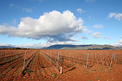 [Somontano+BY+mundozurdo.jpg]