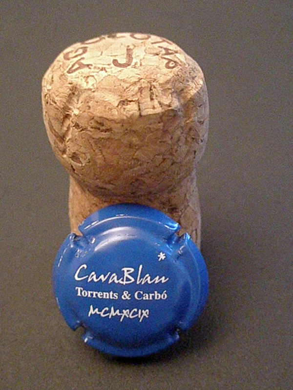 [Torrents+CarbÃ³.JPG]