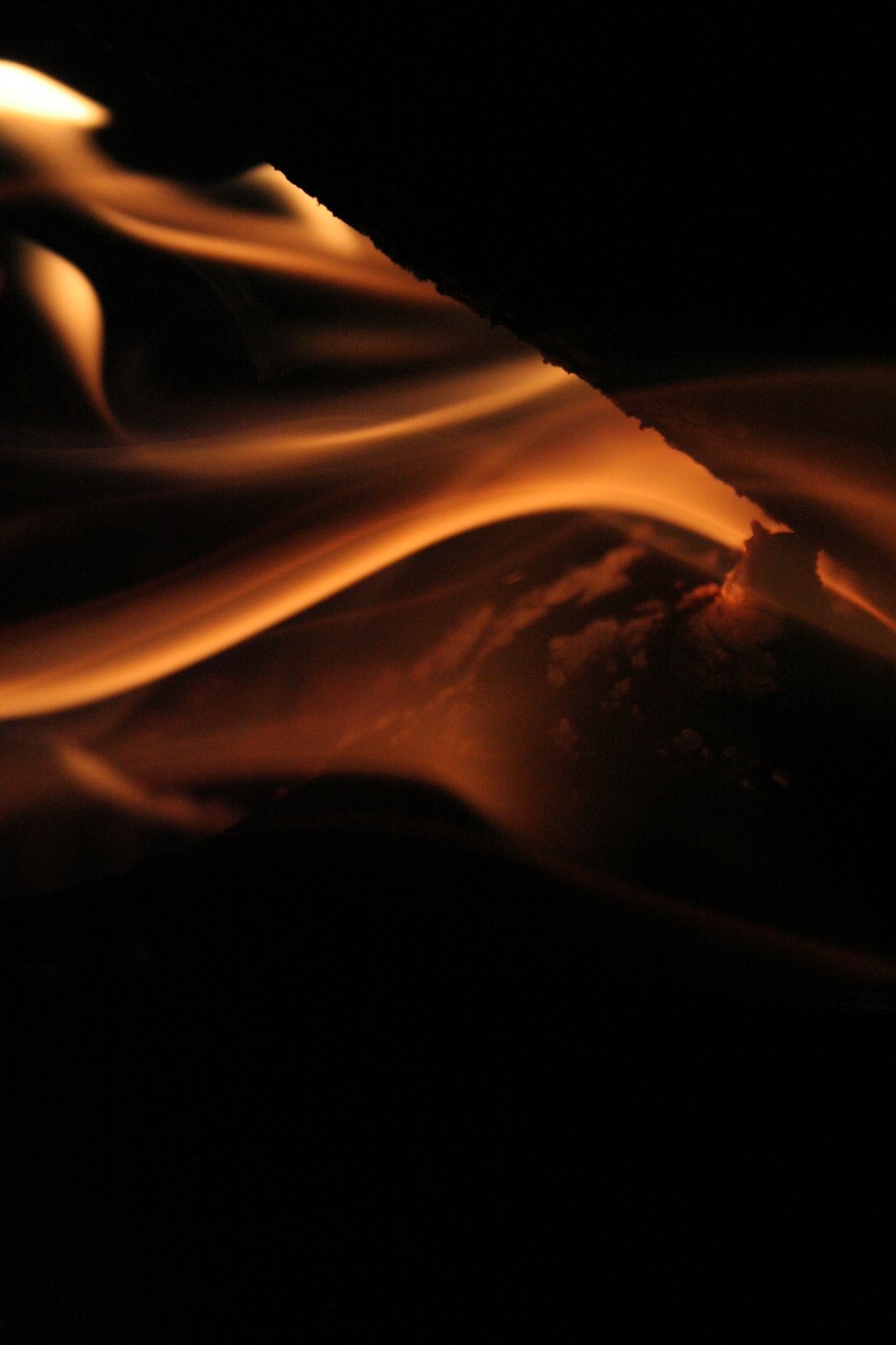 [Sierra_Huelva_Noviembre_07_019.jpg]