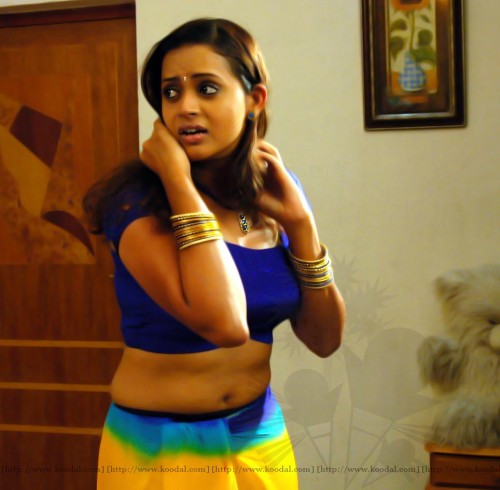 south india mallu actress bhavana showing cleavage and navel in saree image gallery