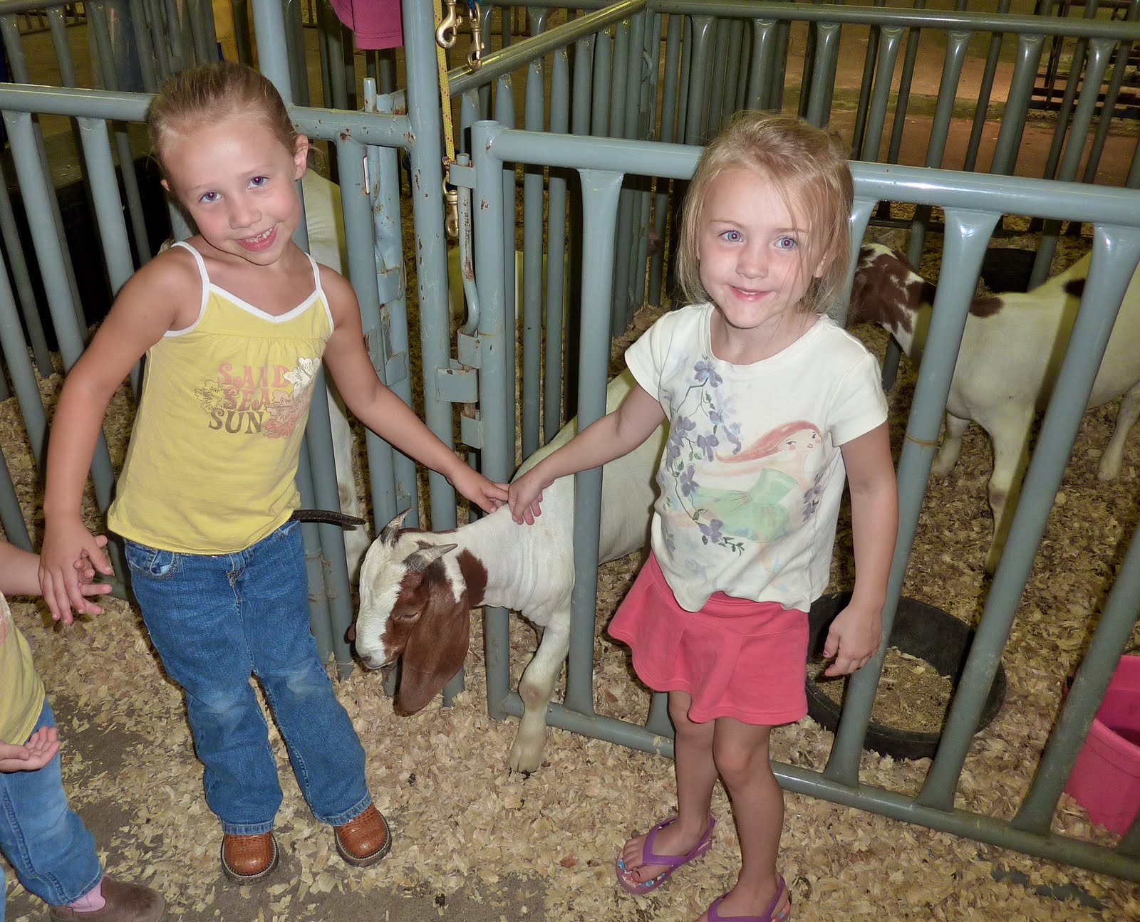 Adventures of the Ebenhack's Stephens County Fair