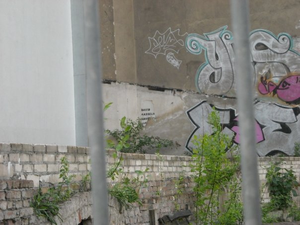 [n1162733396_30488549_3505649.jpg]