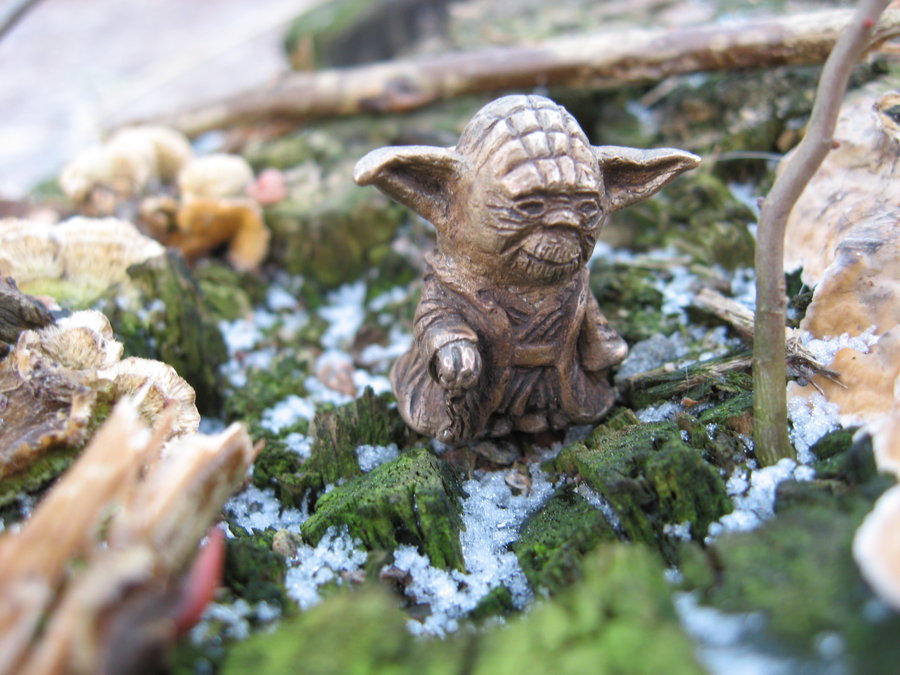 [Yoda_by_obiskus.jpg]