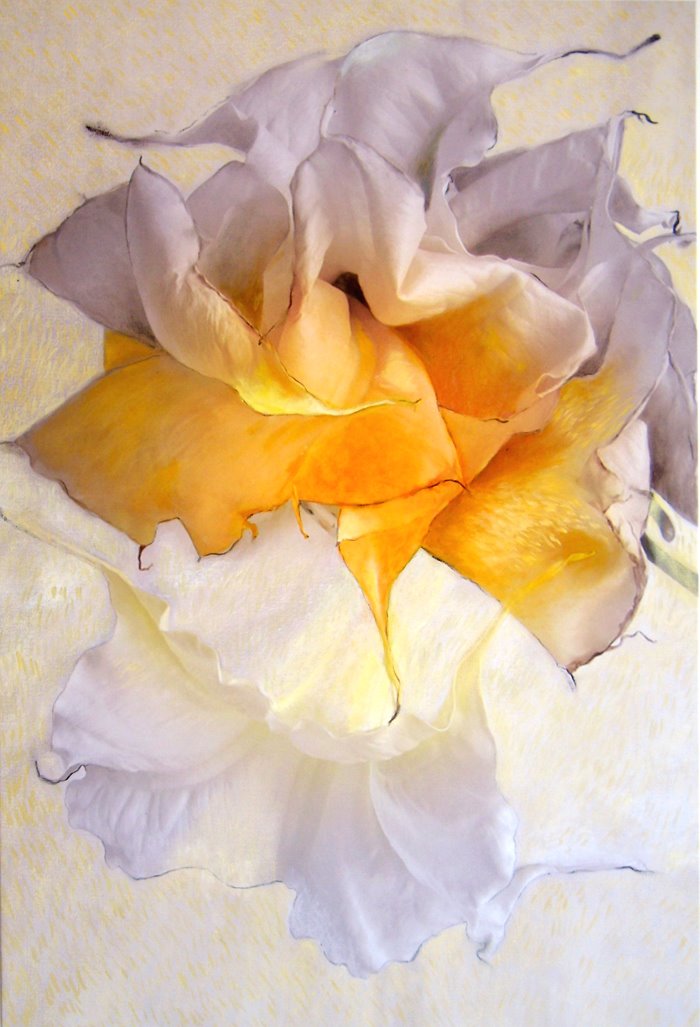 [DAMA+DA+NOITE++2.jpg]