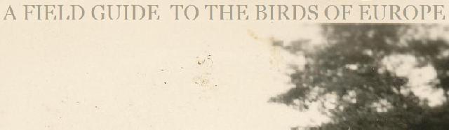 A Field Guide to the Birds of Europe
