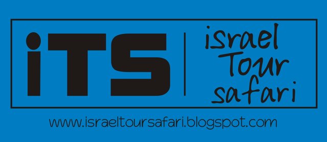 Israel Tour Safari