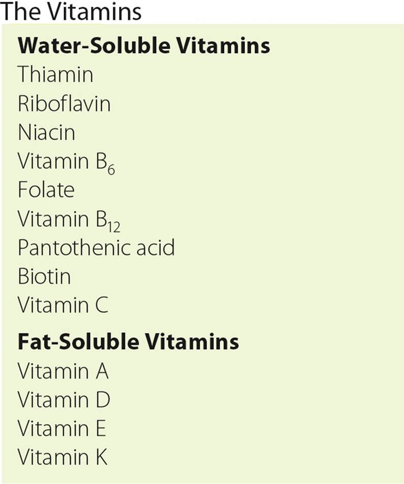 Wisdom is to the mind what health is to the body The Vitamins and Minerals