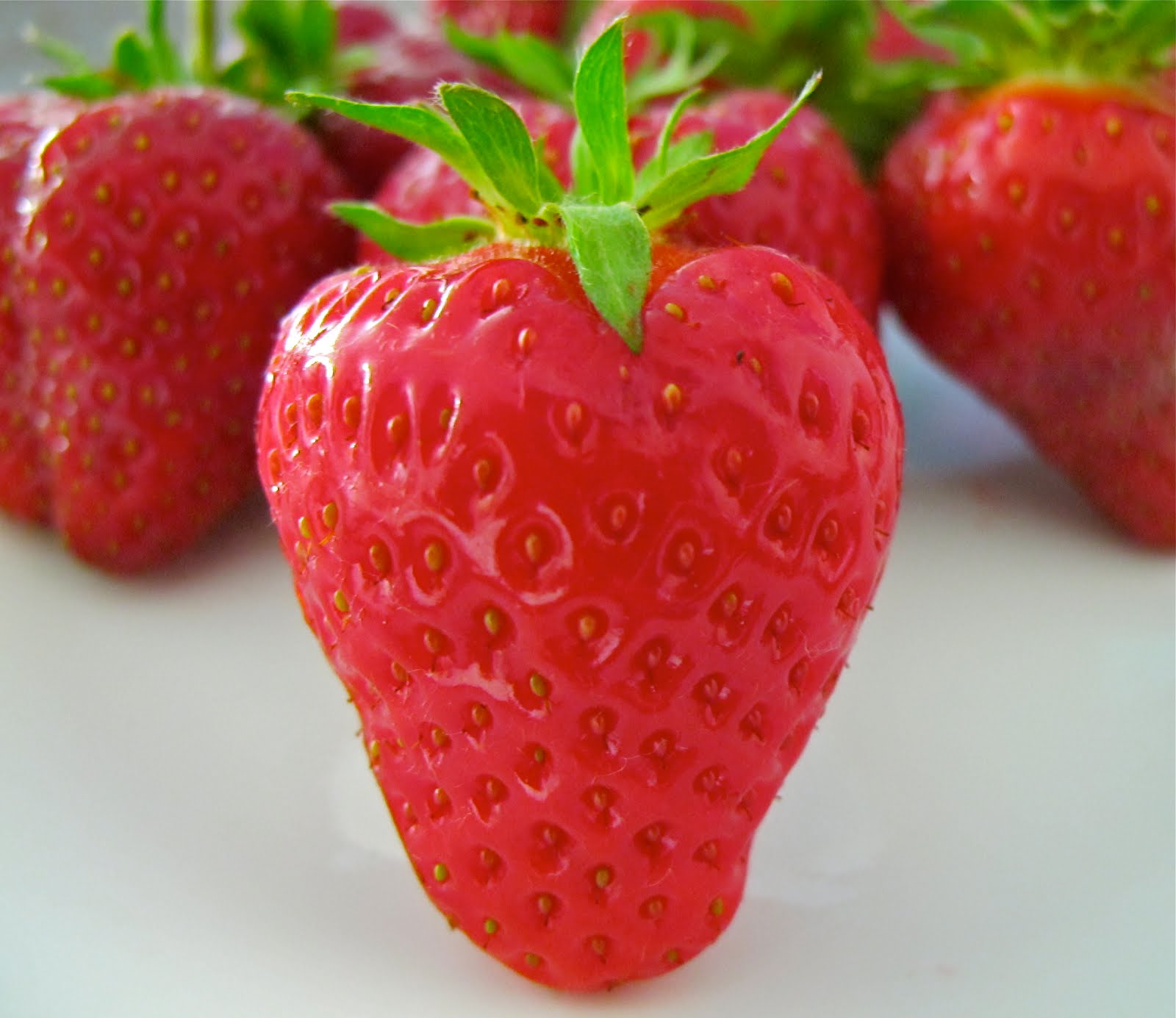 Beautiful Vancouver , Canada Strawberry Farm in Richmond , Vancouver