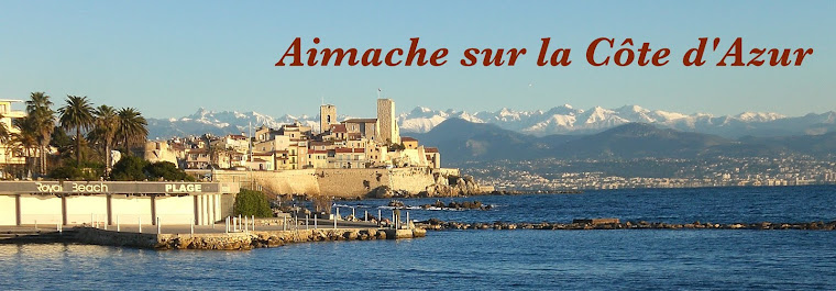 Aimache sur la Côte d'Azur