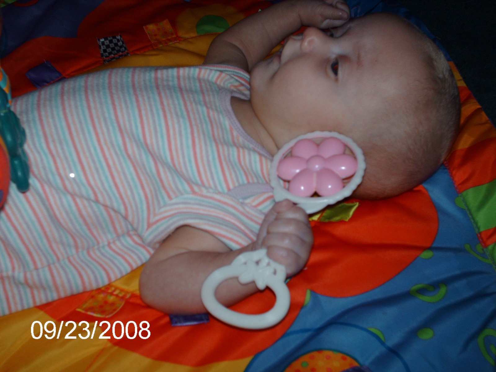 [PICT0751.JPG]