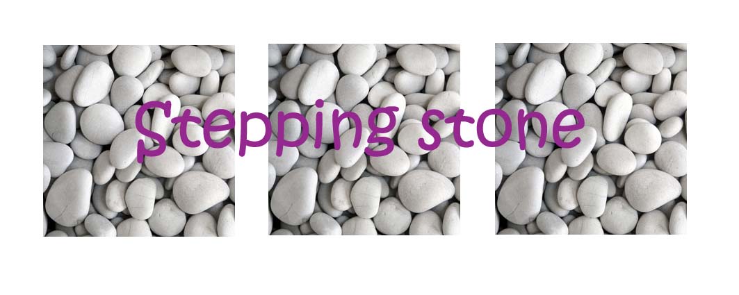 Stepping Stone
