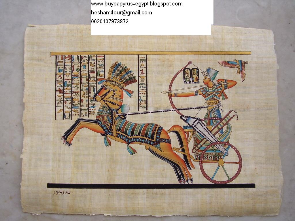 Egyptian Papyrus