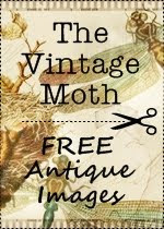 The Vintage Moth