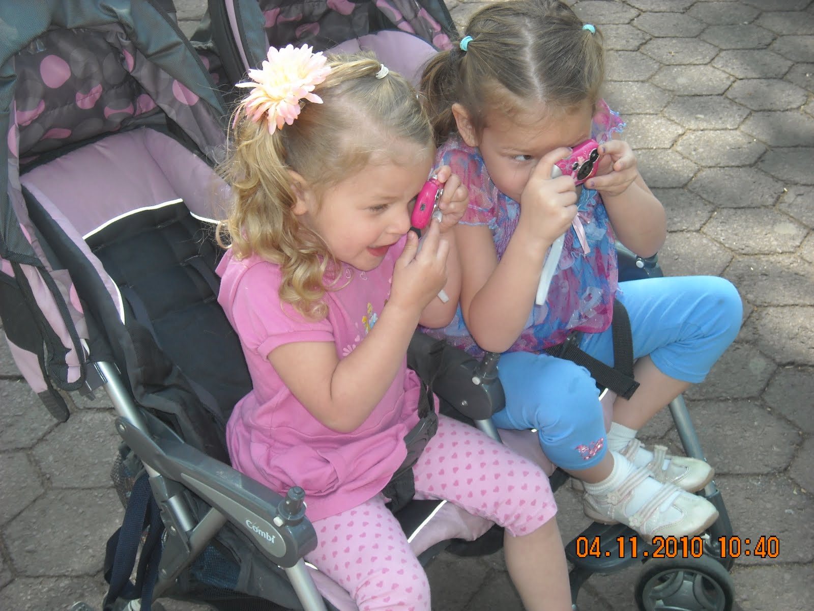 once upon a time The view from the stroller At the Zoo