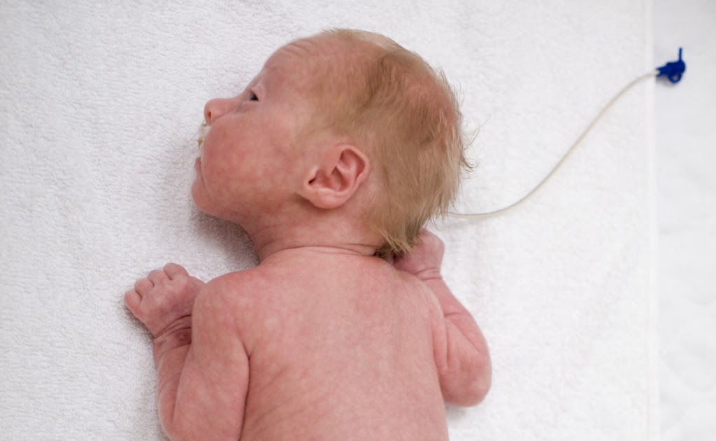 It s Your World Hale True 5 Pounds Baby 