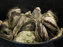 STEAMED OYSTERS