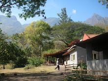 The Jungle Hut Lodge