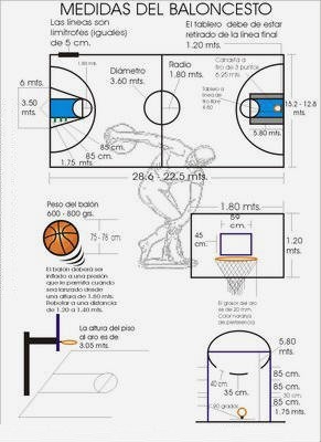[medidas-del-baloncesto2.jpg]