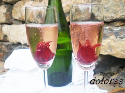 blog-de-cuina-de-la-dolorss-cava-con-hibiscus