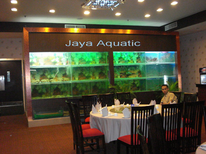 JAYA AQUATIC Ingin membuat kolam di rumah anda? Atau aquarium display