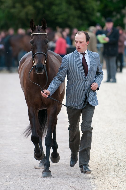 Tim Price trots up Vortex, winner of the Farriers Prize at Badminton Horse Trials