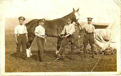 World War I artillery horse coat clipper 