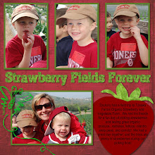 A day at the Strawberry field