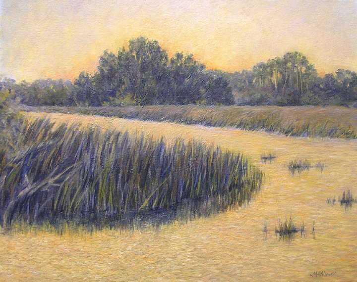 [01-04-08-Brilliant+Marsh.jpg]