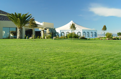 A River lo quiero - Los Sobrios del Hormigón: Se robaron las semillas