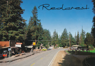 Redcrest