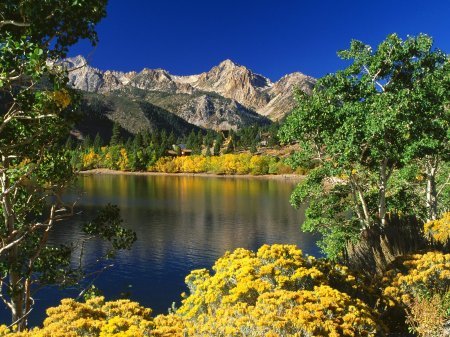 [1219004117_twin-lakes-toiyabe-national-forest.jpg]