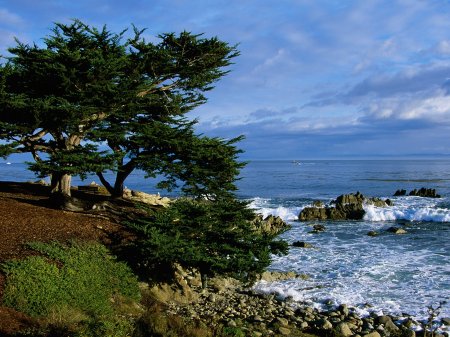 [1219004071_pacific-grove-coastline-california.jpg]